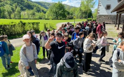 Les 6èmes bilingues à Bertiz
