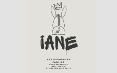 IANE, le nouveau coup de pouce numérique